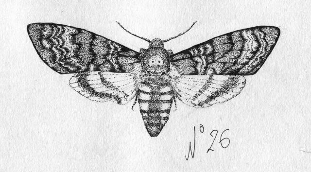 Работа 3404171