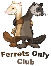 Ferrets Club web site