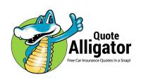 Alligator