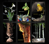 Экологические плакаты