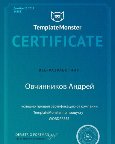 Сертификат веб разработчика