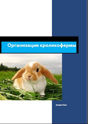 Разведение кроликов