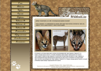 Сайт "Wildcats"