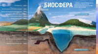 Работа 1501336