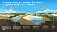 Работа 2104919
