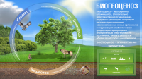 Работа 1501334
