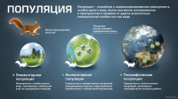 Работа 1501337