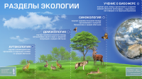 Работа 1501333