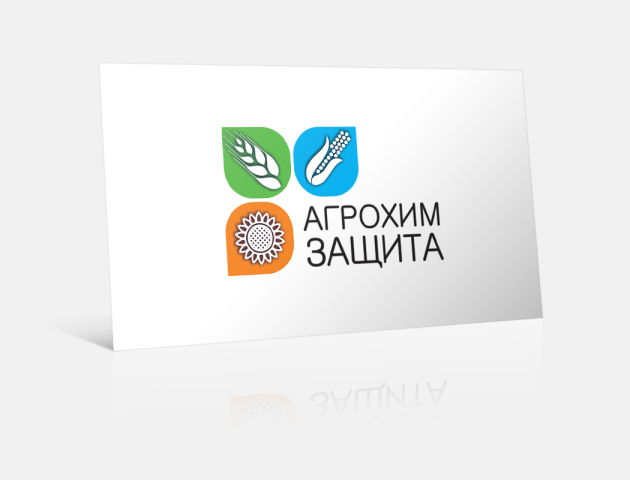 Разработка логотипа