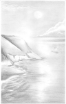 pic06