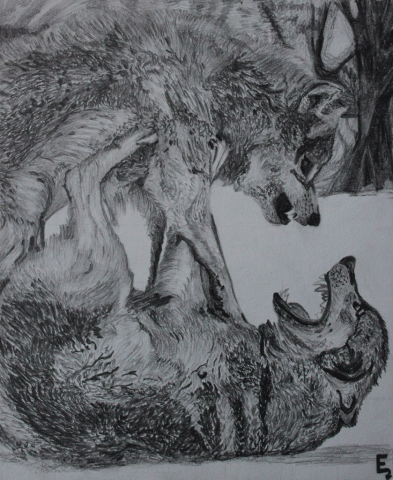 Рисунок