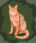Кошак