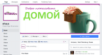 Elhaus.ru - магазин бытовой техники, комплексное продвижение