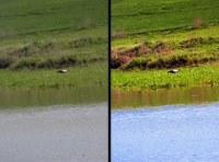 цветокоррекция