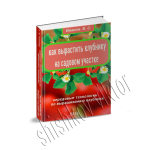 Дизайн 3d обложки для книги