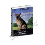 Дизайн 3d обложки для книги