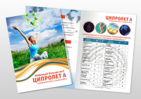 Буклет для “Reddy’s”