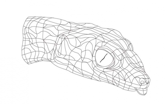 Snake