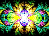 apophysis 01