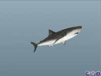 AS3 Loader для моделей 3D Studio Max