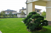 Частный участок  в коттеджном поселке Madison Park (лето)