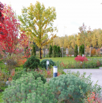 Частный участок в коттеджном поселке Madison Park (осень)