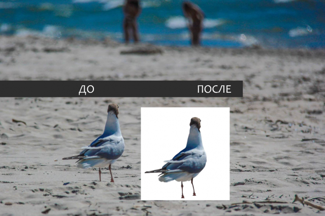 Обтравка