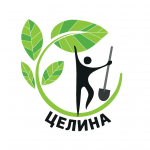 Целина