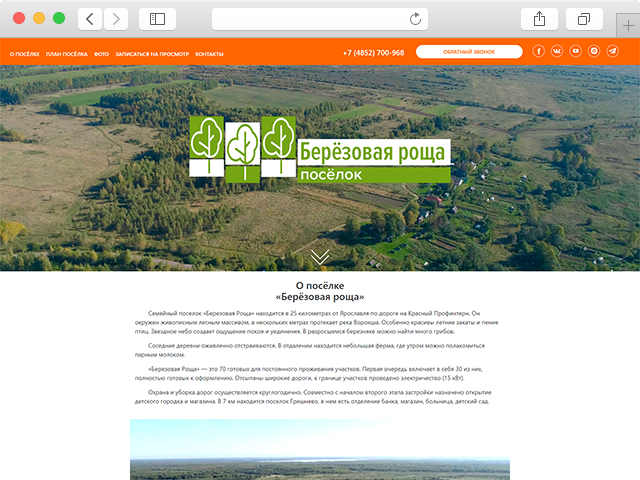 Берёзовая роща