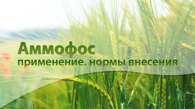 аммофос