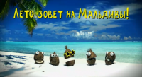 кокосы Velcom Telekom