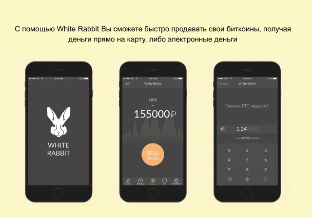 Дизайг мобильного приложения White Rabbit