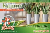 Рекламный модуль