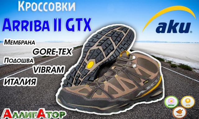 Кроссовки Arriba II GTX