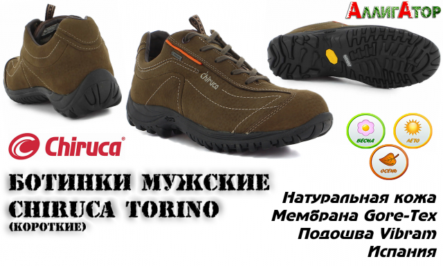 Ботинки Мужские Chiruca Torino (короткие)