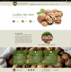 Bio Walnut