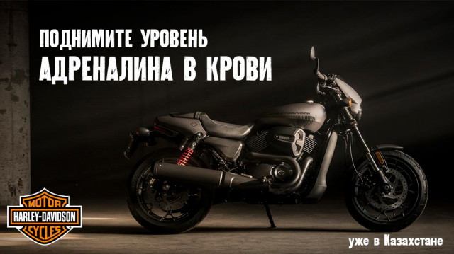 Статичный интернет баннер для Harley Davidson