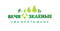Лесопитомник "Вечнозелёные"