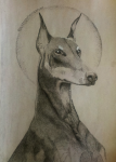 Рисунок, Собака