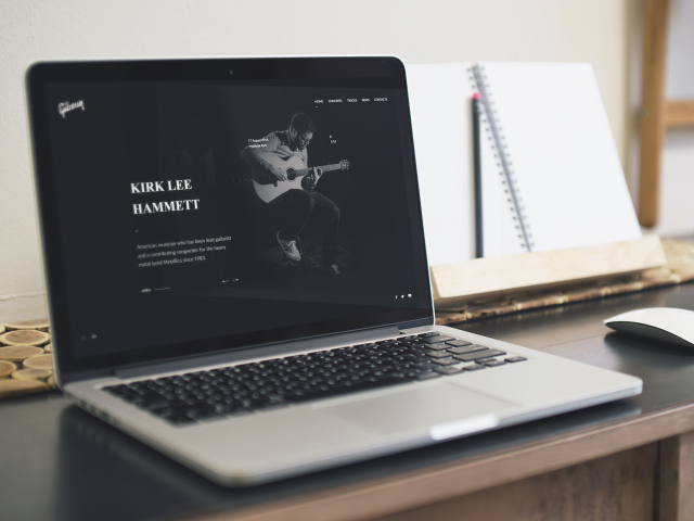 Guitar
