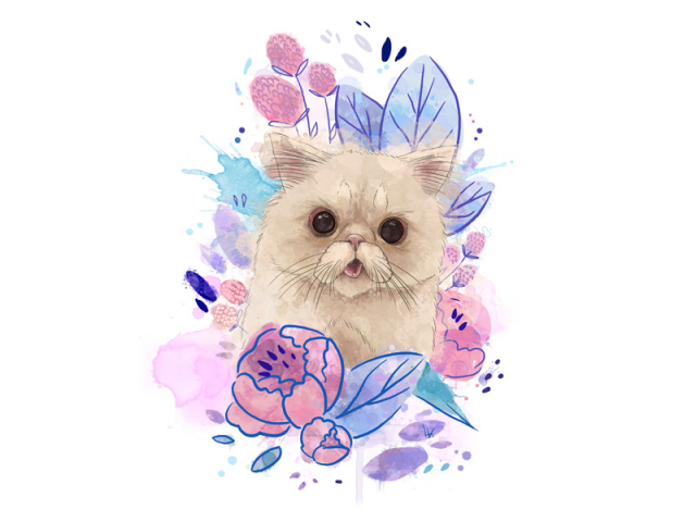 Кошка