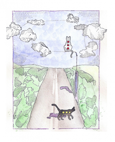 Cats walk