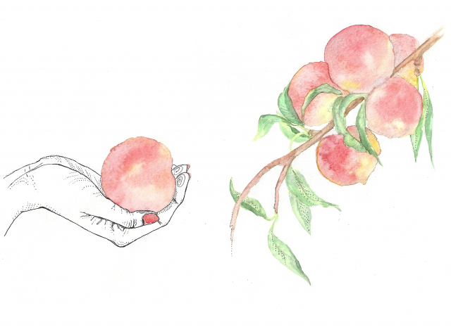 Peach