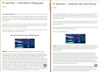 IT Domain