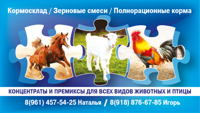 визитка