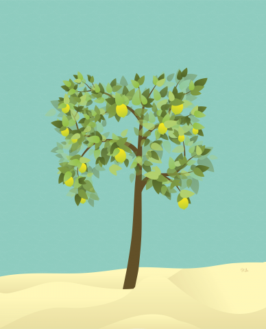 Лимонное дерево.