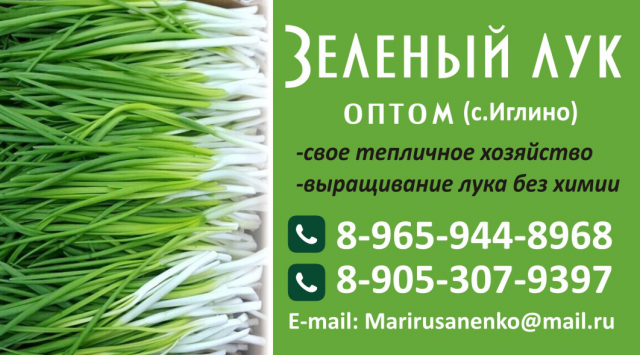 Работа 3388343