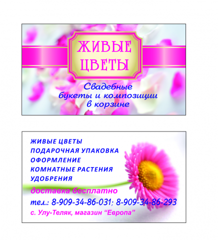 Работа 3388334