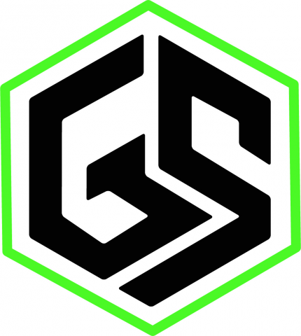 Лого gs