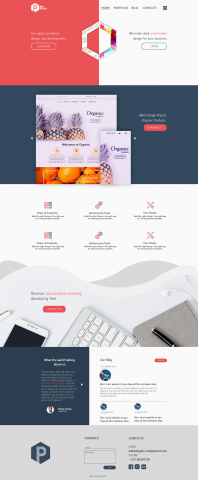 Web Design - Corporate Style